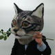 Illustration for article titled You Can Wear This Freaky Cat Head in Tokyo